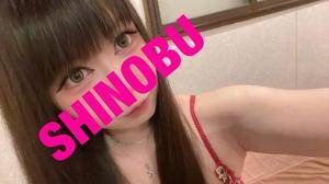 シノブ 24歳