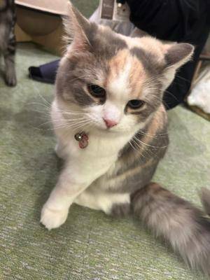 ウララ 20歳