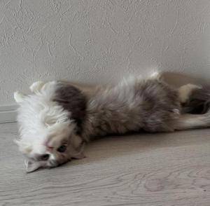ユラ 19歳