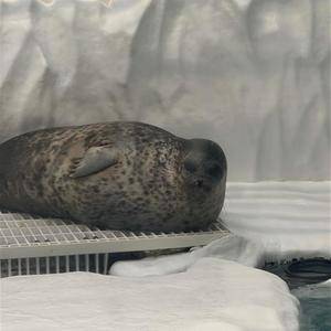 ユラ 19歳