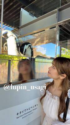 ウサギ 22歳