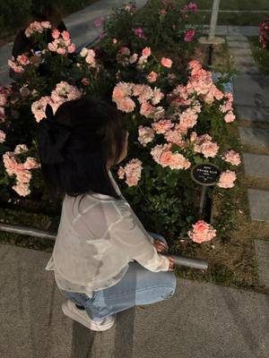 ウサギ 22歳