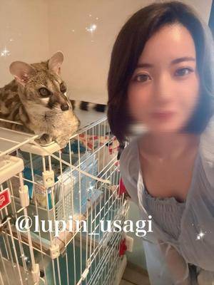 ウサギ 22歳