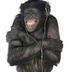 ウサギ 22歳