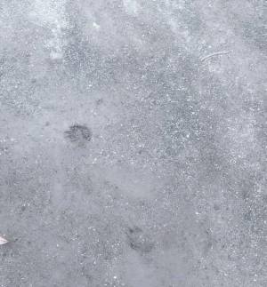 えり 23歳