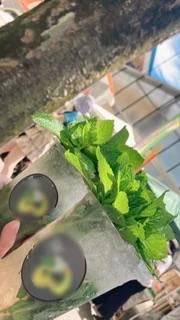 りおな 27歳
