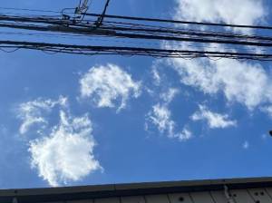 なの 25歳