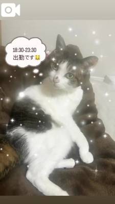 さり 25歳