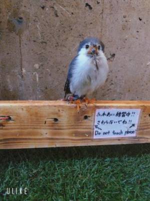 かおり 25歳