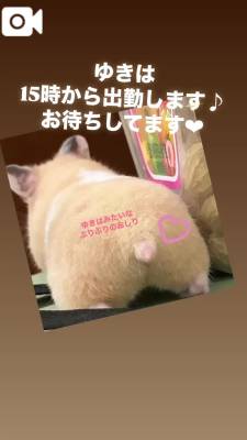 ゆきは 33歳