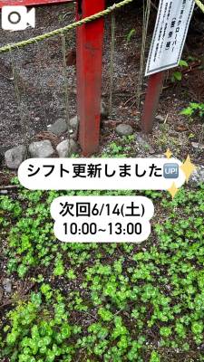 ゆめ 30歳