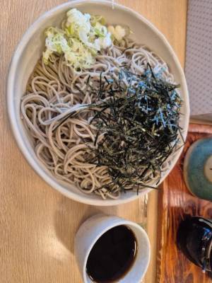ひばり 25歳